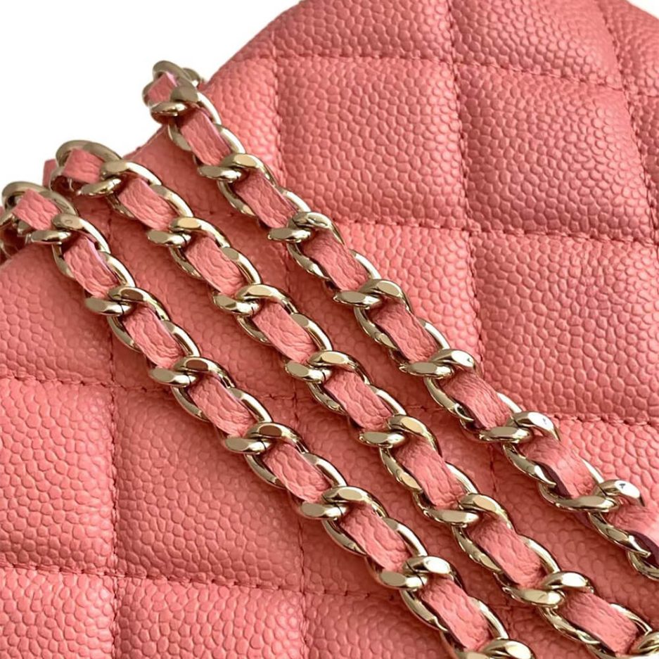 CHANEL 25C hobo bag
