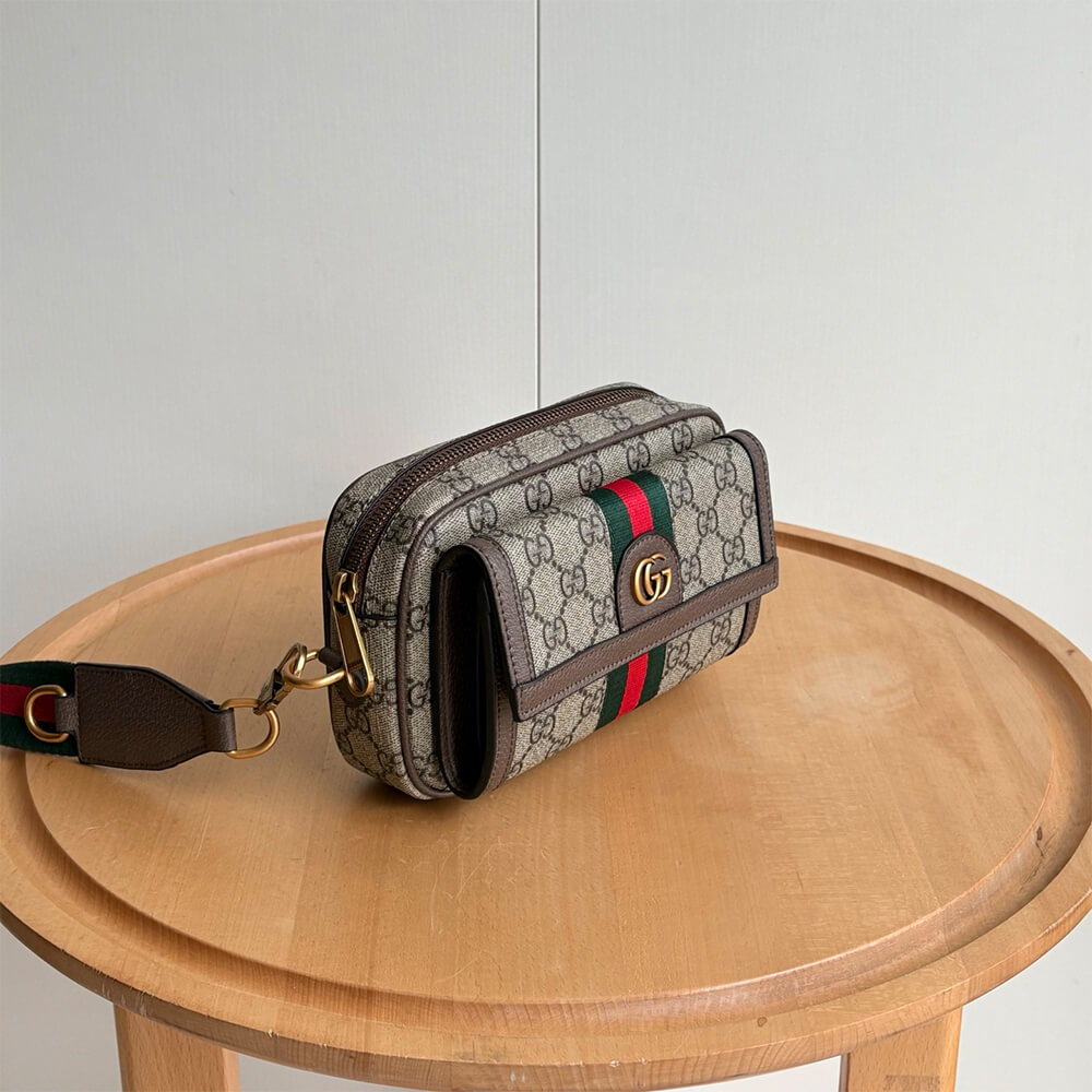G*u*i ophidia mini bag