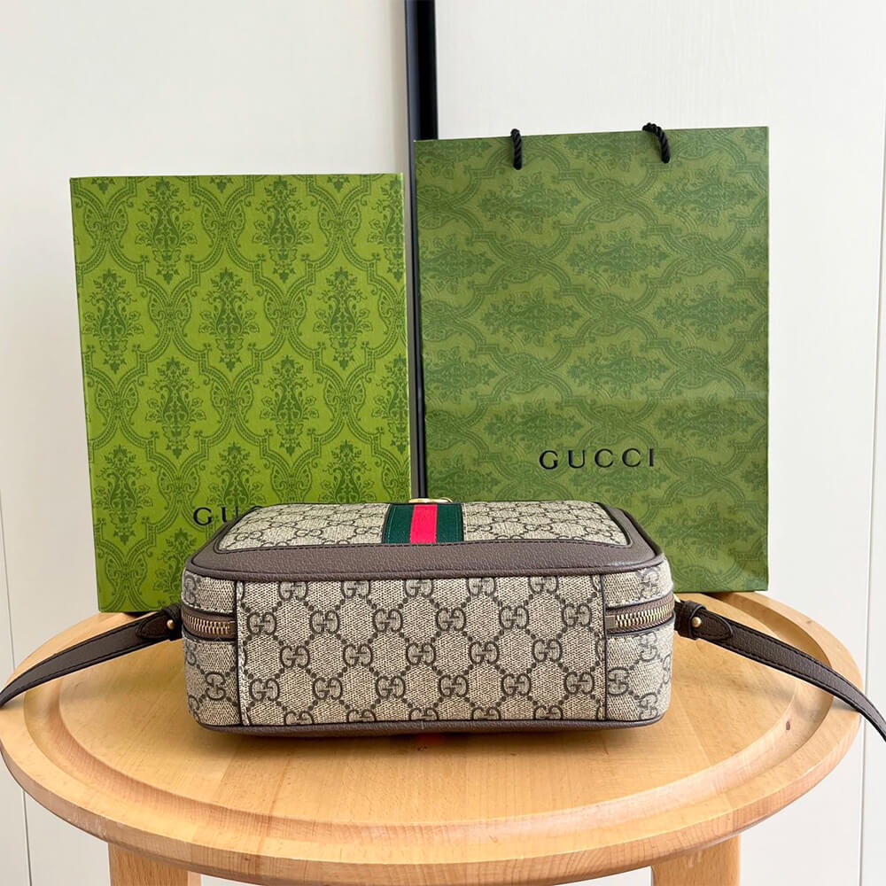 G*u*i ophidia small top handle bag