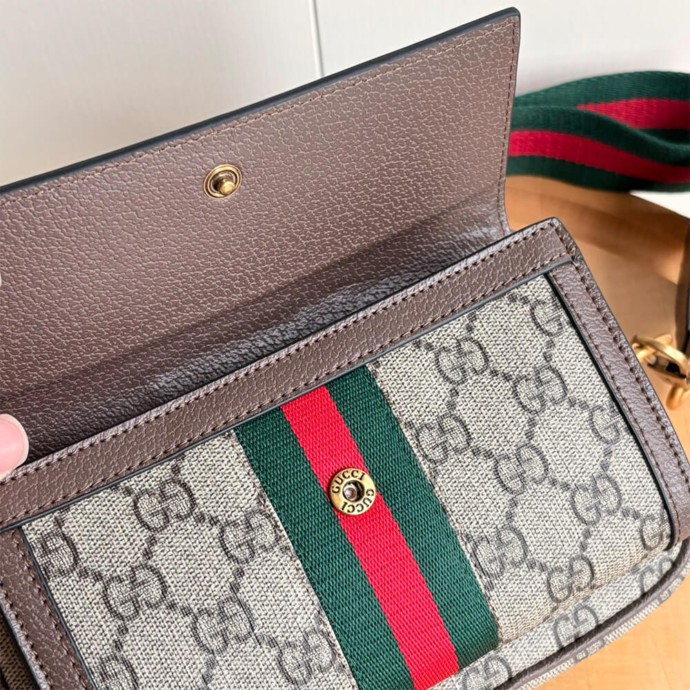 G*u*i ophidia mini bag